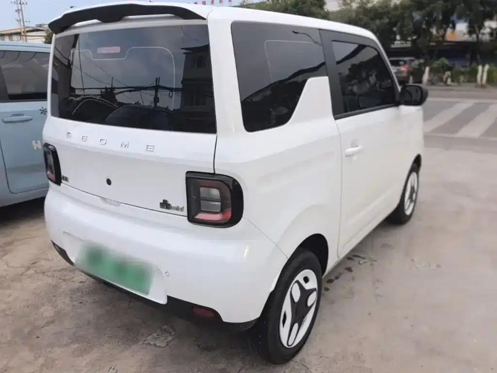 Panda 2025 Panda Mini 210km - Energetic Bear — миниатюра 7