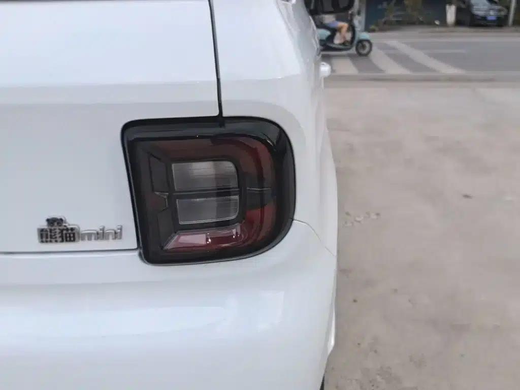 Panda 2025 Panda Mini 210km - Energetic Bear — миниатюра 8