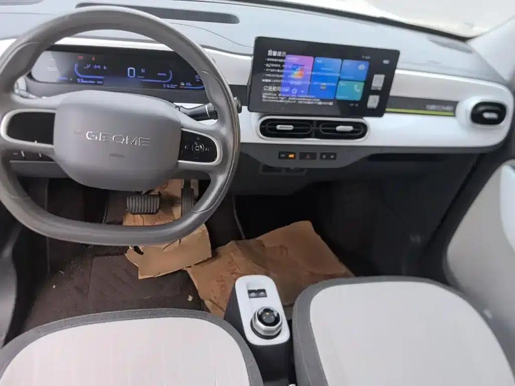 Panda 2025 Panda Mini 210km - Energetic Bear — миниатюра 10