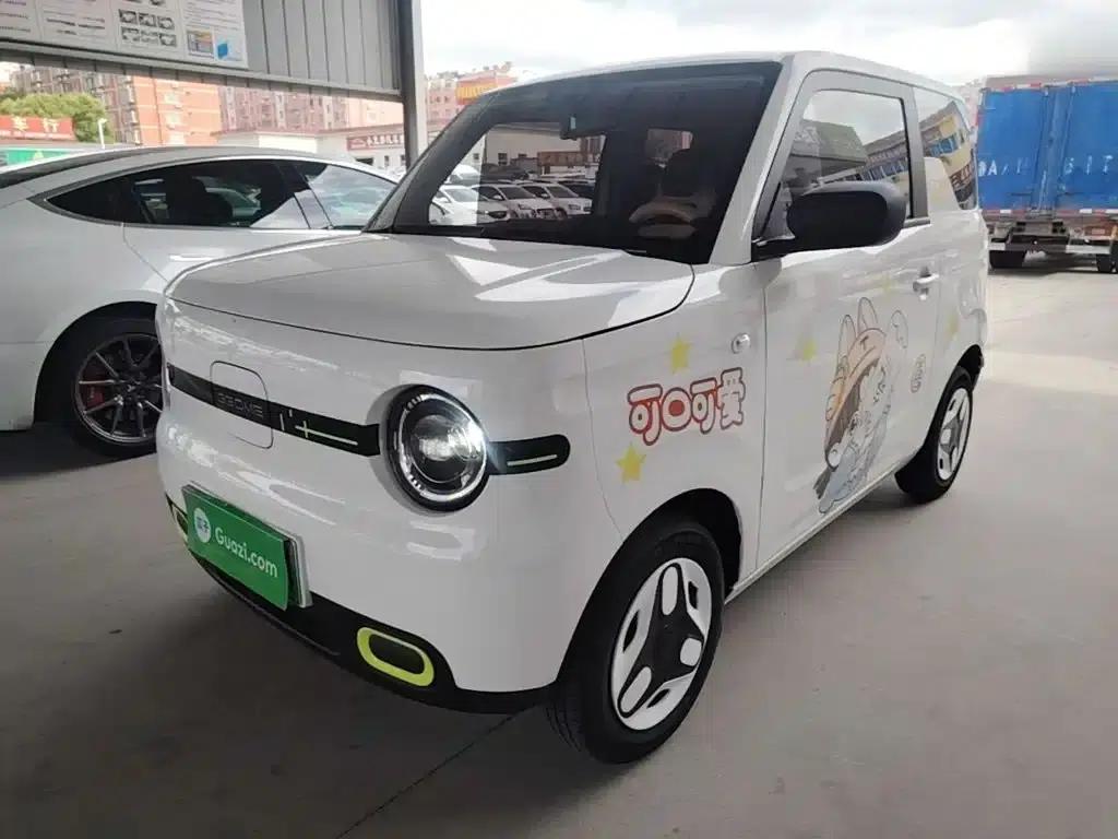 Panda 2025 Panda Mini 210km - Energetic Bear — миниатюра 2