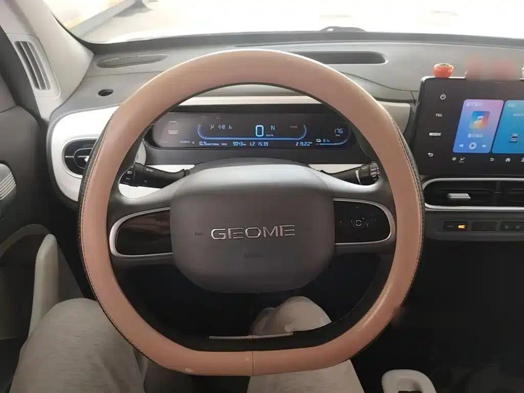 Panda 2025 Panda Mini 210km - Energetic Bear — миниатюра 11