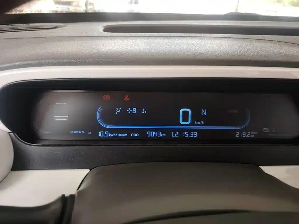 Panda 2025 Panda Mini 210km - Energetic Bear — миниатюра 12