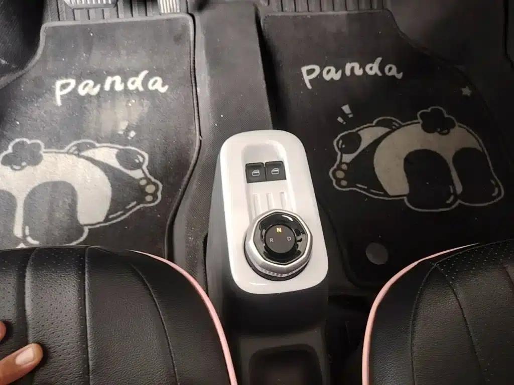 Panda 2025 Panda Mini 210km - Energetic Bear — миниатюра 14