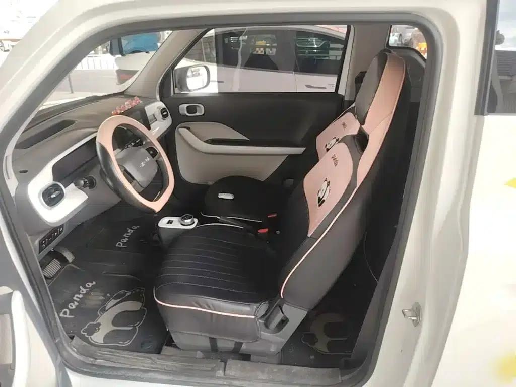 Panda 2025 Panda Mini 210km - Energetic Bear — миниатюра 15