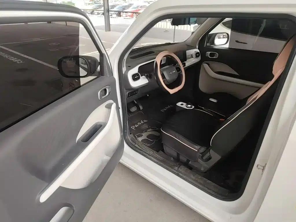 Panda 2025 Panda Mini 210km - Energetic Bear — миниатюра 16