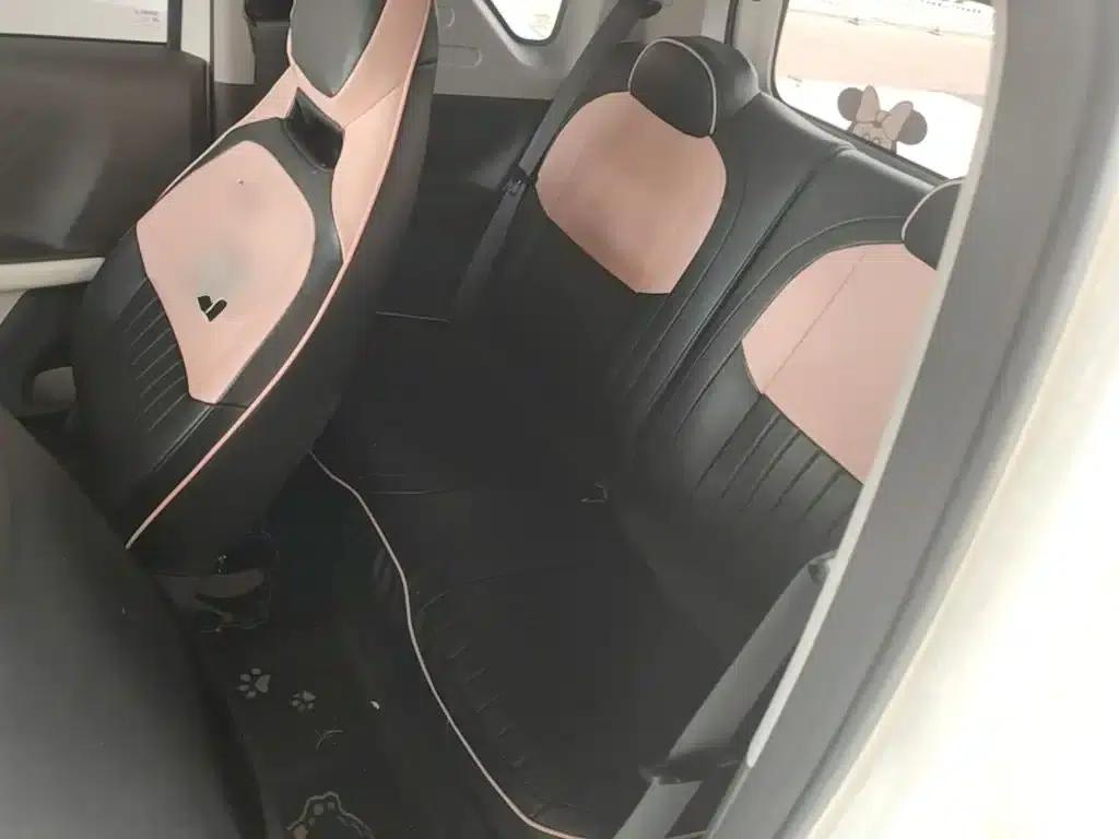 Panda 2025 Panda Mini 210km - Energetic Bear — миниатюра 17