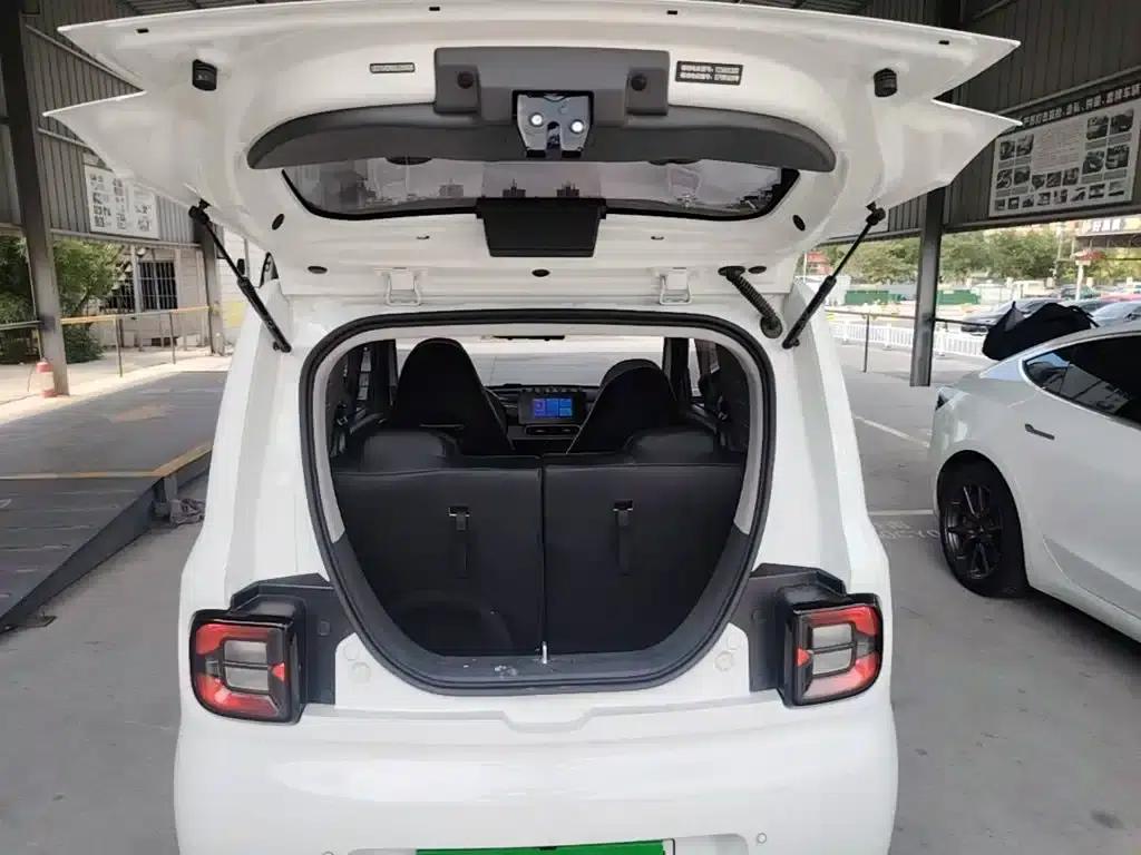 Panda 2025 Panda Mini 210km - Energetic Bear — миниатюра 19