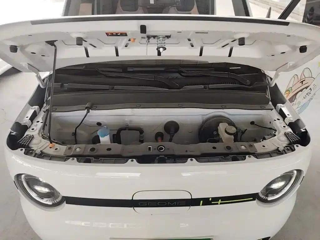 Panda 2025 Panda Mini 210km - Energetic Bear — миниатюра 20