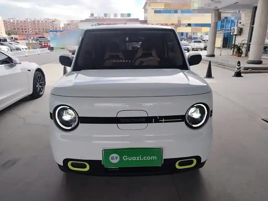 Panda 2025 Panda Mini 210km - Energetic Bear — миниатюра 3