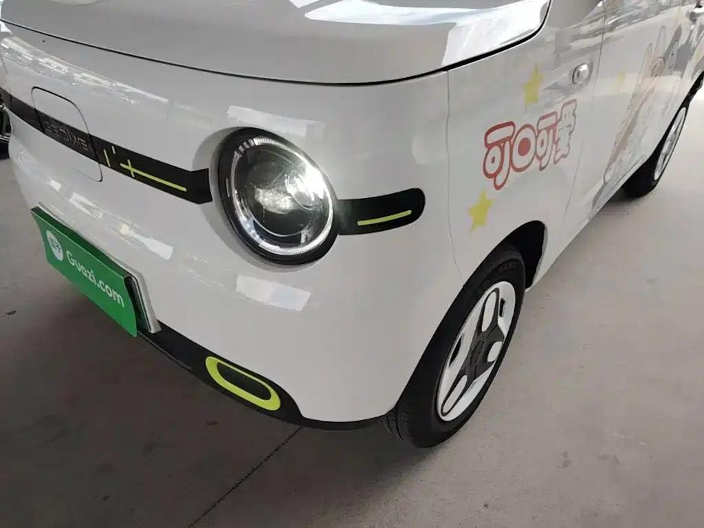 Panda 2025 Panda Mini 210km - Energetic Bear — миниатюра 24