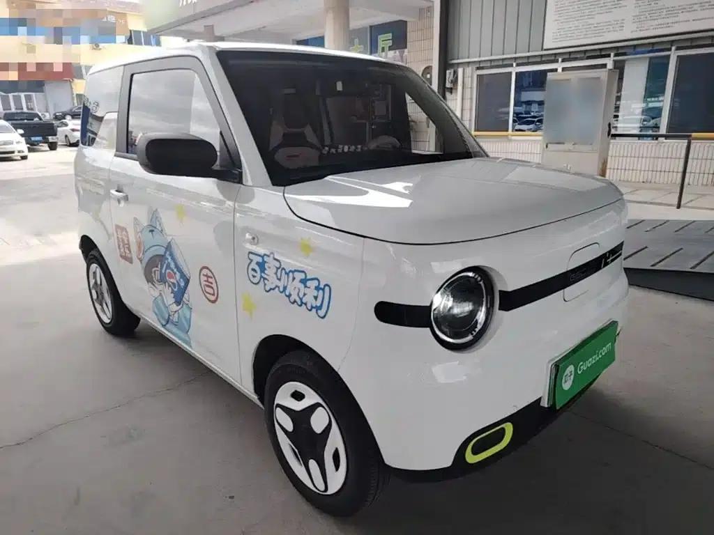 Panda 2025 Panda Mini 210km - Energetic Bear — миниатюра 4