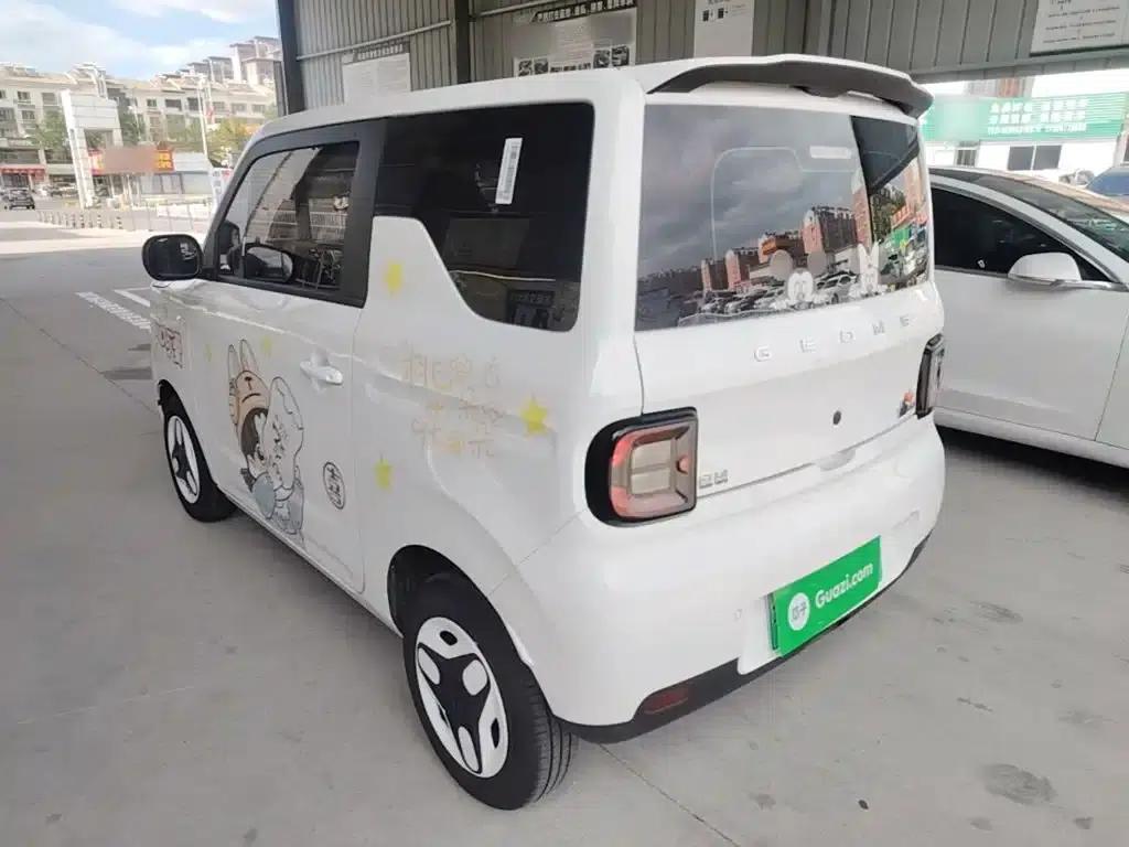 Panda 2025 Panda Mini 210km - Energetic Bear — миниатюра 5