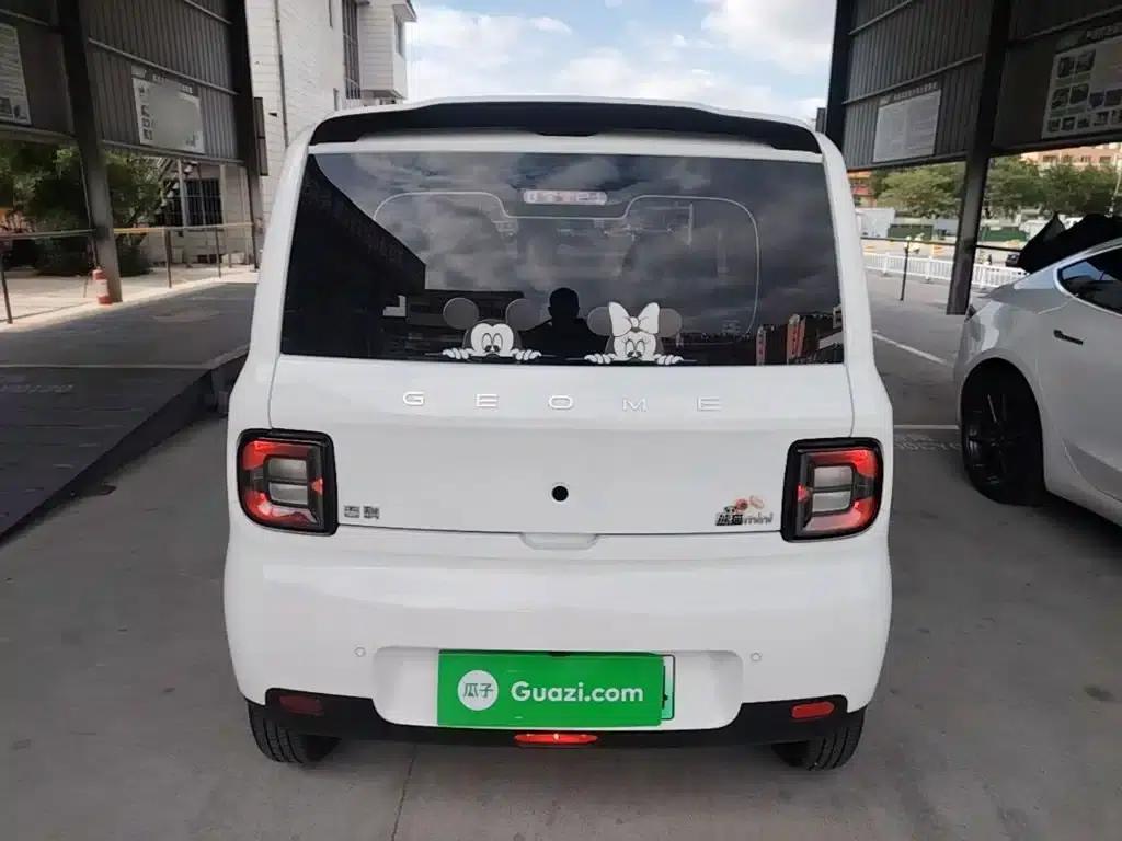 Panda 2025 Panda Mini 210km - Energetic Bear — миниатюра 6