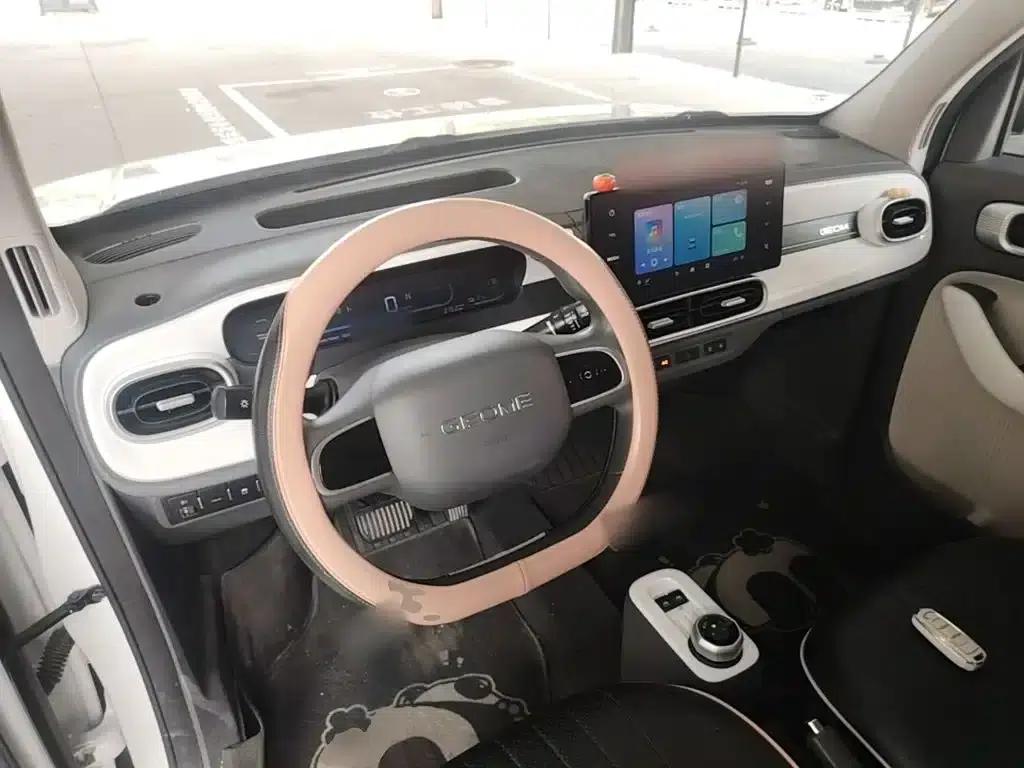 Panda 2025 Panda Mini 210km - Energetic Bear — миниатюра 10