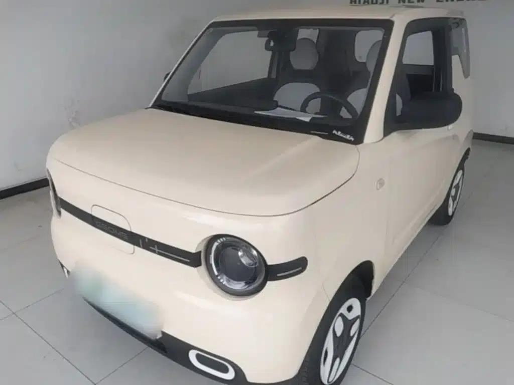 Panda 2025 Panda Mini 210km - Energetic Bear — миниатюра 2