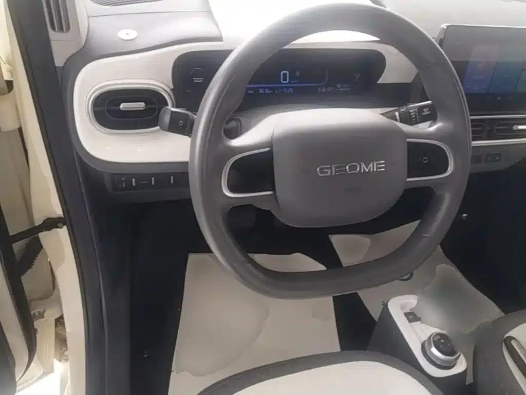 Panda 2025 Panda Mini 210km - Energetic Bear — миниатюра 11
