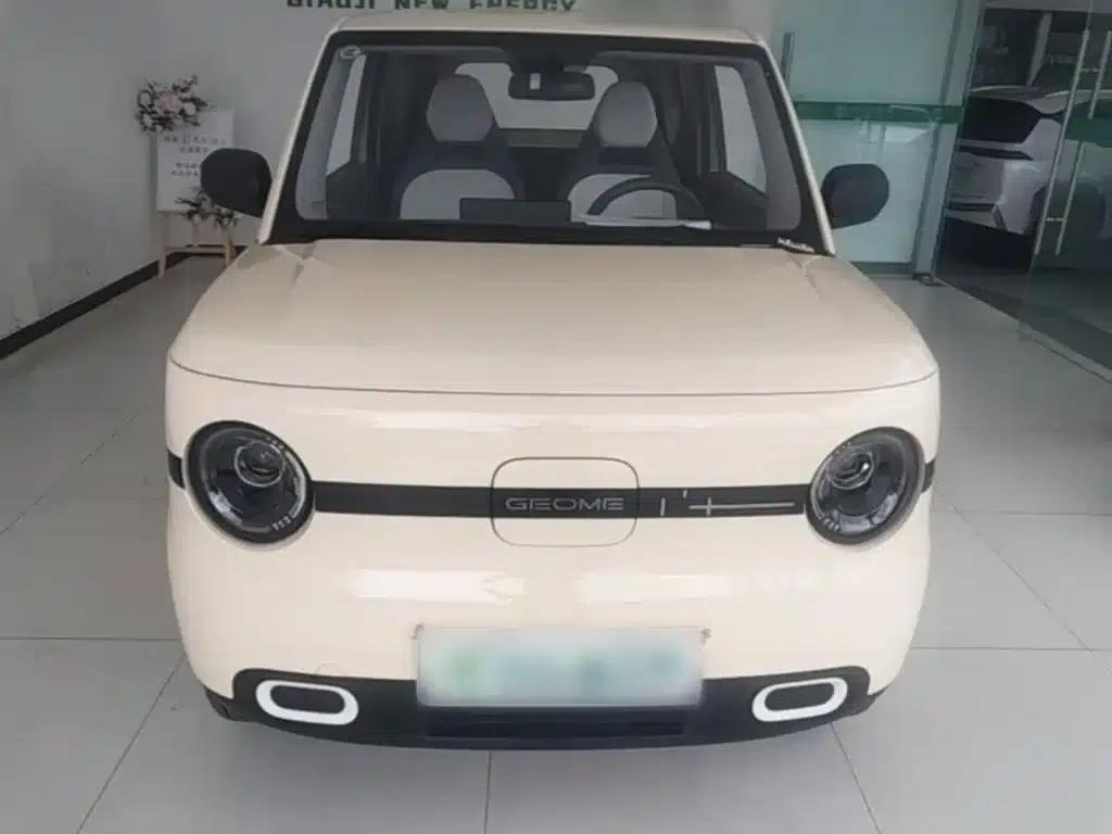 Panda 2025 Panda Mini 210km - Energetic Bear — миниатюра 3