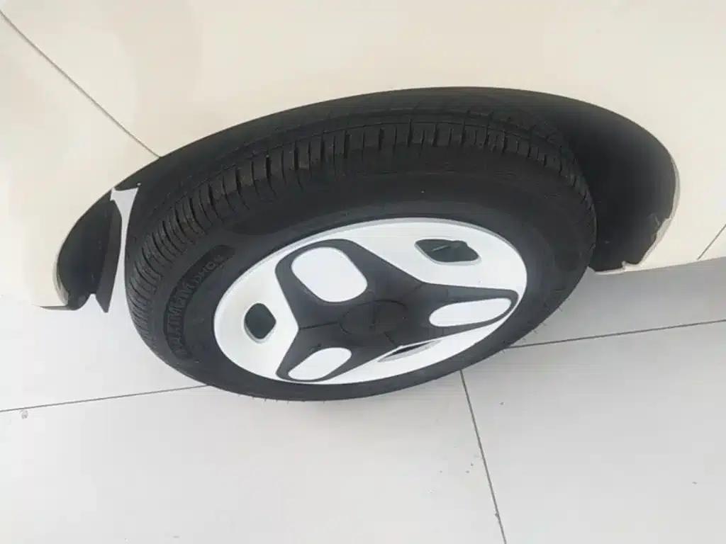 Panda 2025 Panda Mini 210km - Energetic Bear — миниатюра 23