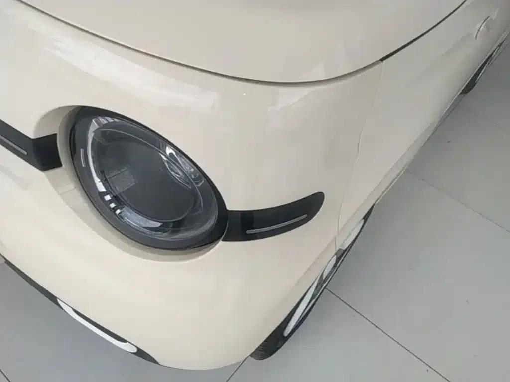 Panda 2025 Panda Mini 210km - Energetic Bear — миниатюра 24