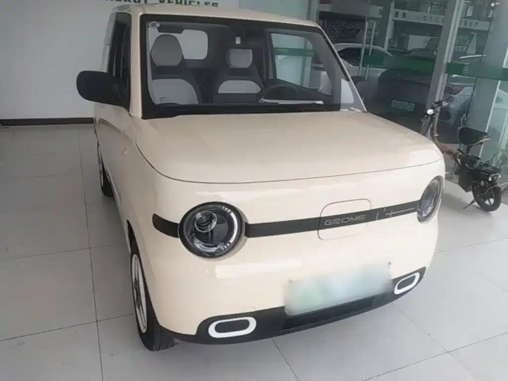 Panda 2025 Panda Mini 210km - Energetic Bear — миниатюра 4