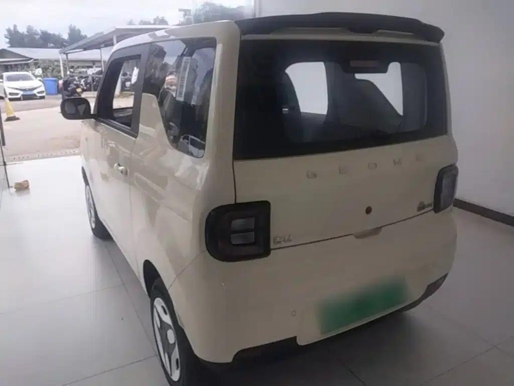 Panda 2025 Panda Mini 210km - Energetic Bear — миниатюра 5
