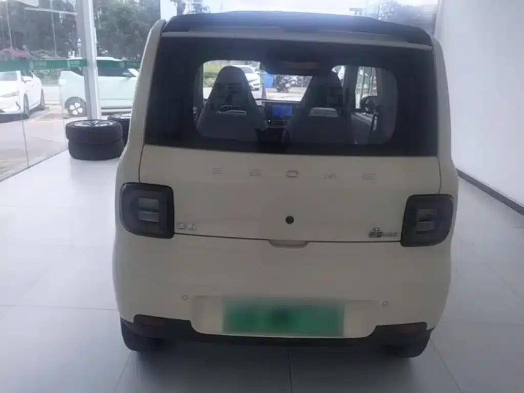 Panda 2025 Panda Mini 210km - Energetic Bear — миниатюра 6