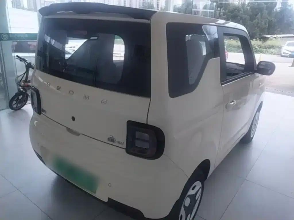 Panda 2025 Panda Mini 210km - Energetic Bear — миниатюра 7