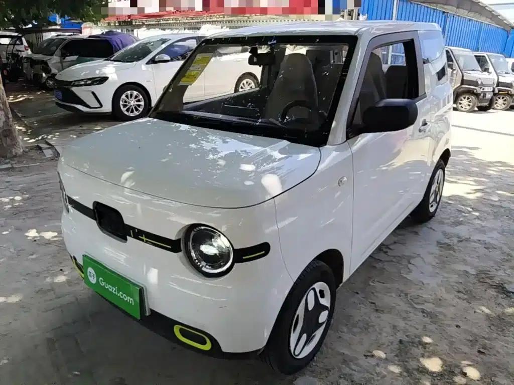 Panda 2025 Panda Mini 210km - Energetic Bear — миниатюра 1