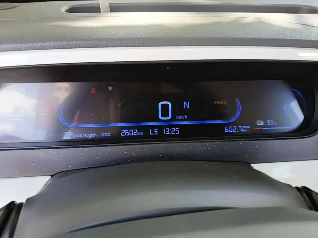 Panda 2025 Panda Mini 210km - Energetic Bear — миниатюра 12