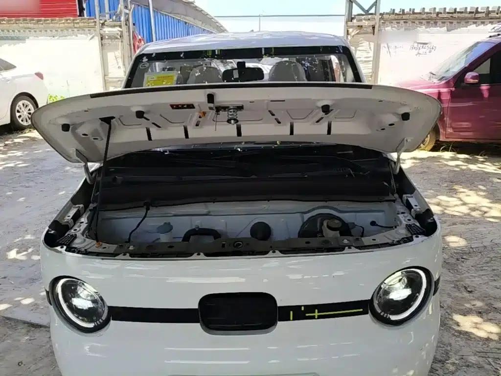 Panda 2025 Panda Mini 210km - Energetic Bear — миниатюра 20
