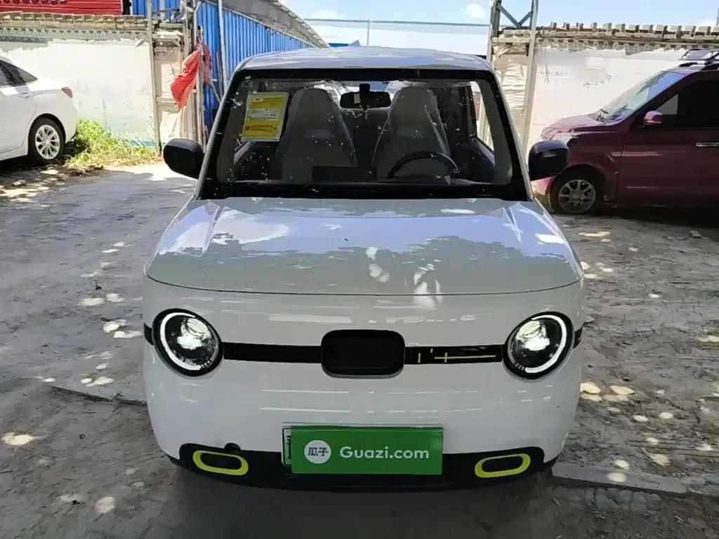 Panda 2025 Panda Mini 210km - Energetic Bear — миниатюра 3