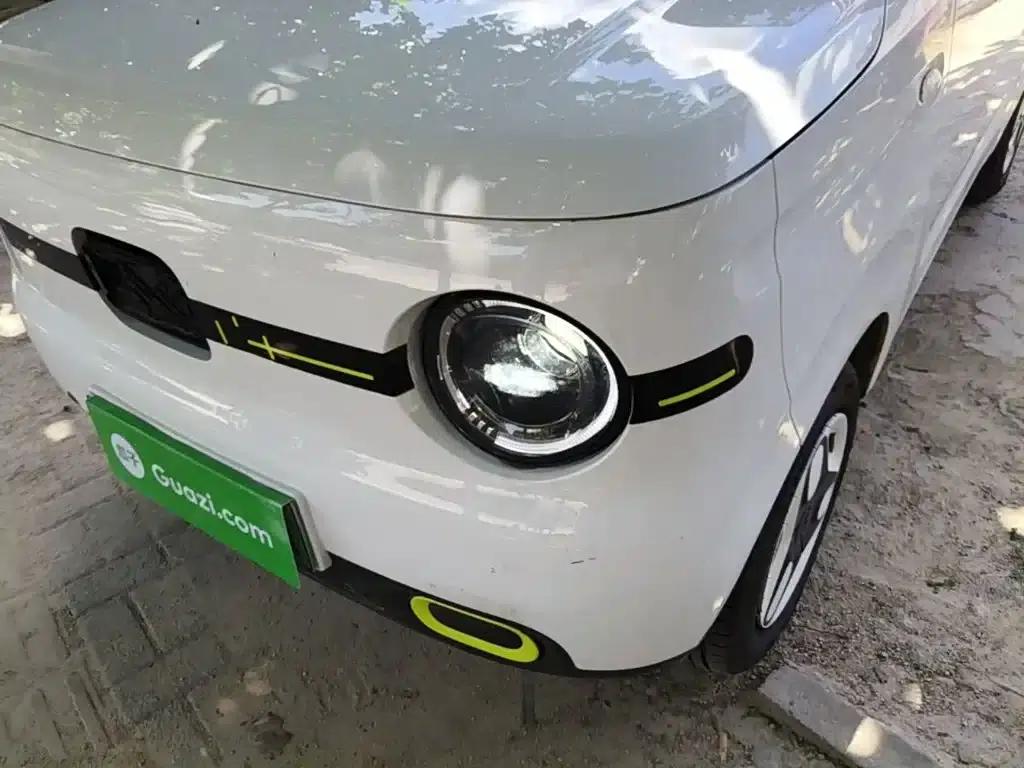 Panda 2025 Panda Mini 210km - Energetic Bear — миниатюра 24
