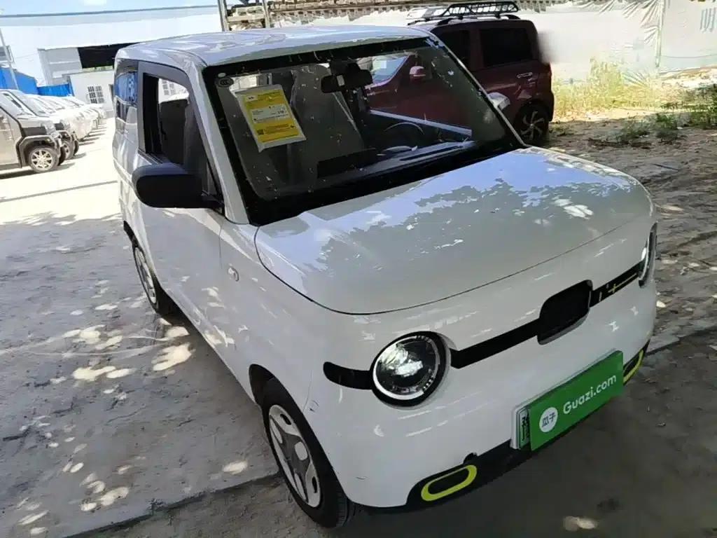 Panda 2025 Panda Mini 210km - Energetic Bear — миниатюра 4