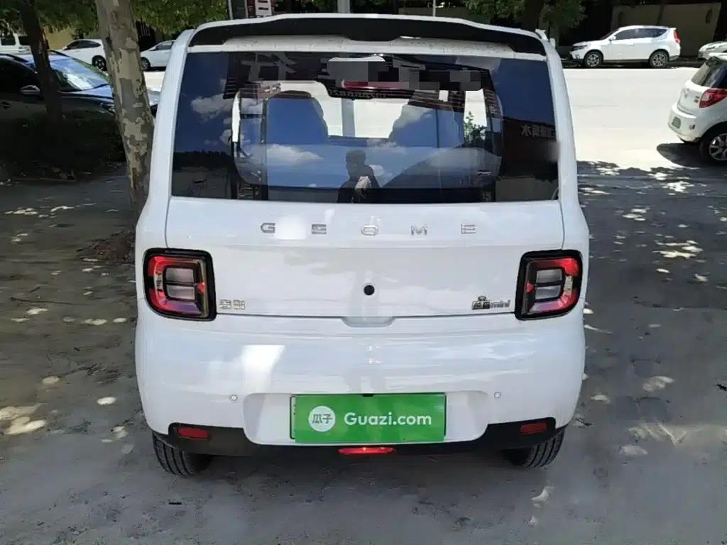 Panda 2025 Panda Mini 210km - Energetic Bear — миниатюра 6