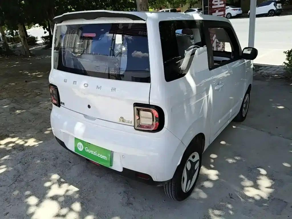 Panda 2025 Panda Mini 210km - Energetic Bear — миниатюра 7