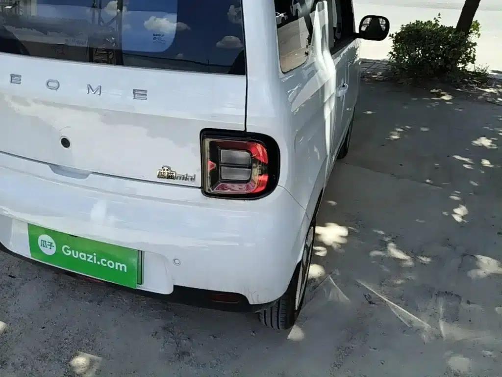 Panda 2025 Panda Mini 210km - Energetic Bear — миниатюра 8