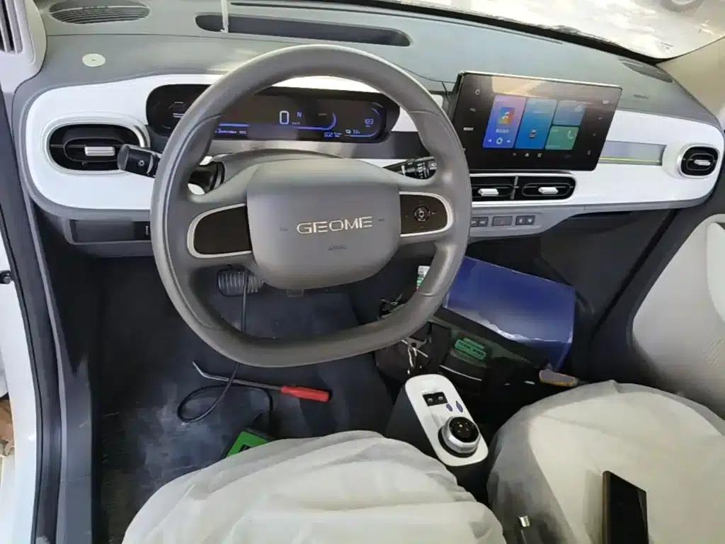 Panda 2025 Panda Mini 210km - Energetic Bear — миниатюра 10