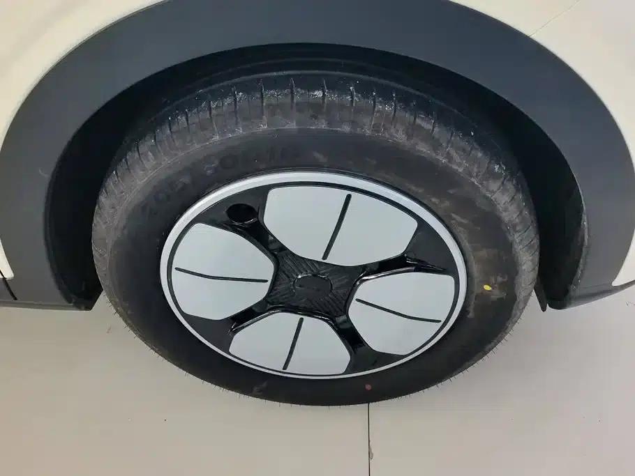 Star Wish 2025 310km Youth Edition — миниатюра 6