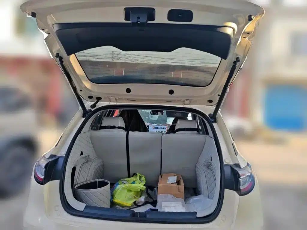 Star Wish 2026 Model 410km Freedom Edition — миниатюра 16
