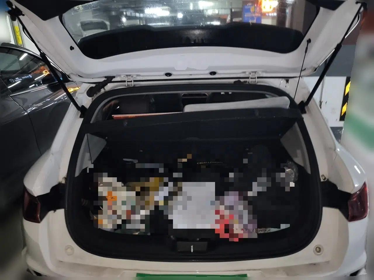 BYD e2 2021 Luxury Model — миниатюра 19