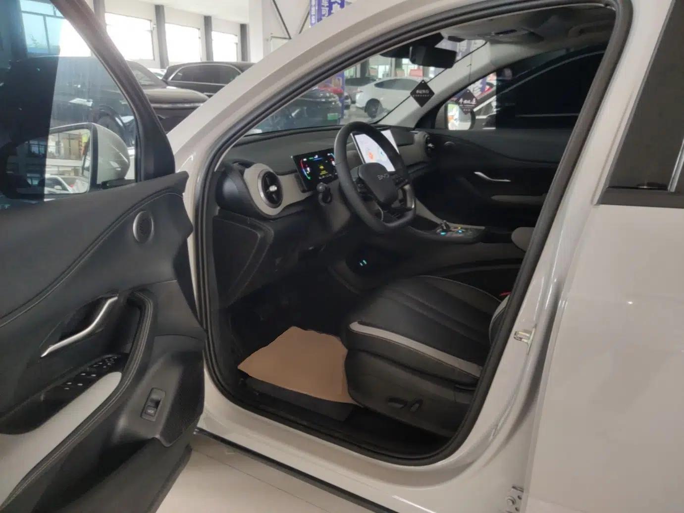 BYD Sealion 05 DM-i 2025 DM-i 75KM Prestige Model — миниатюра 18