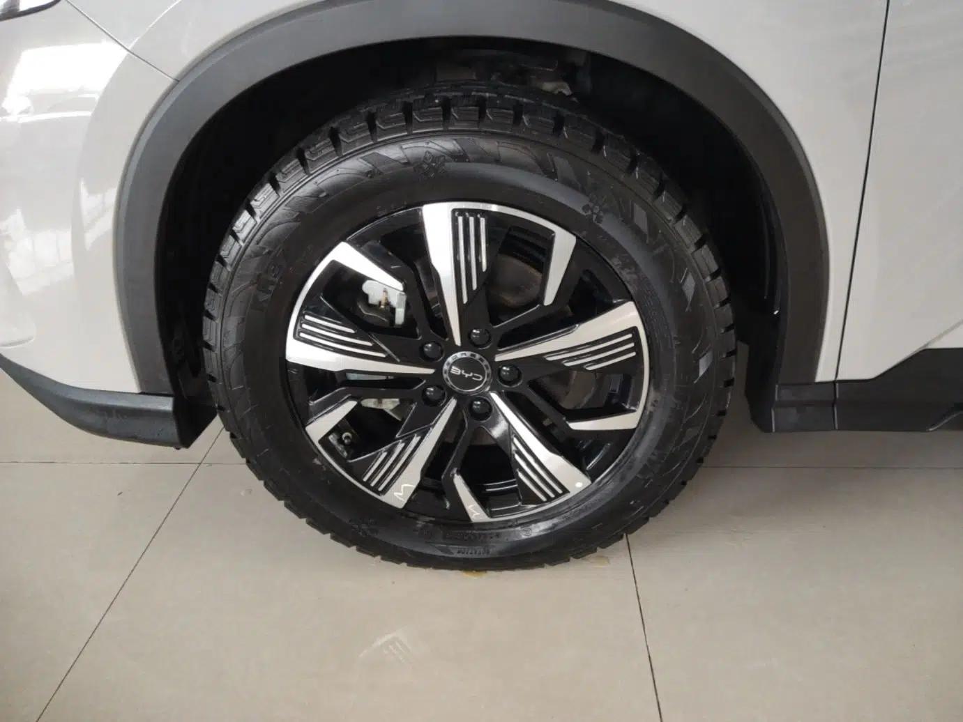 BYD Sealion 05 DM-i 2025 DM-i 75KM Prestige Model — миниатюра 10