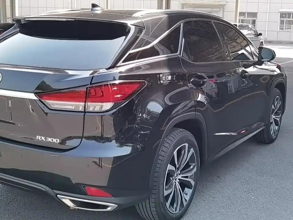 Lexus RX 2021 300 AWD Special Edition — миниатюра 6