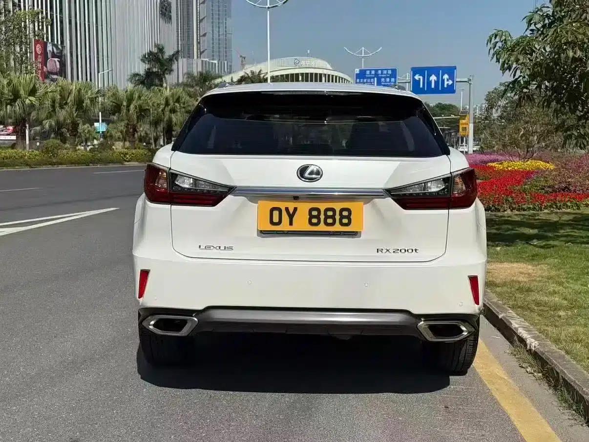 Lexus RX 2016 300 2WD Elite Edition (China V Emission Standard) — миниатюра 14