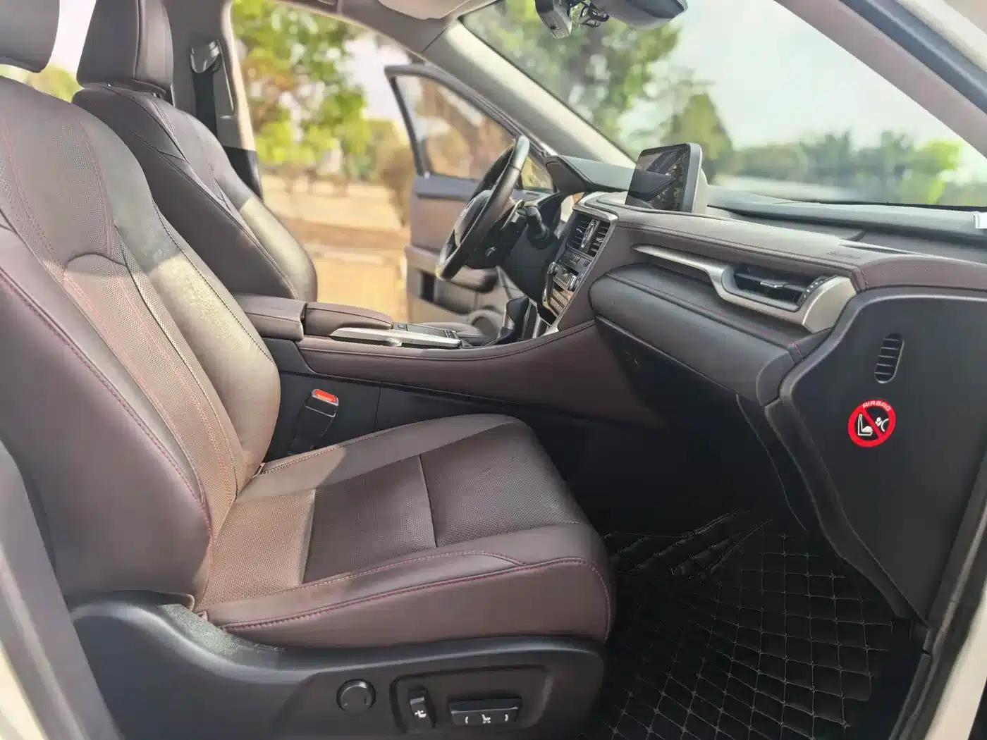 Lexus RX 2020 300 2WD Comfort Edition (China VI Emission Standard) — миниатюра 13