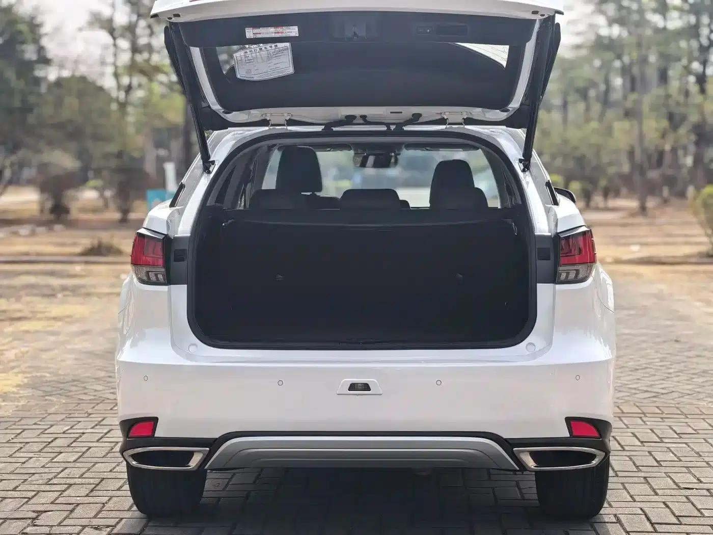 Lexus RX 2020 300 2WD Comfort Edition (China VI Emission Standard) — миниатюра 17