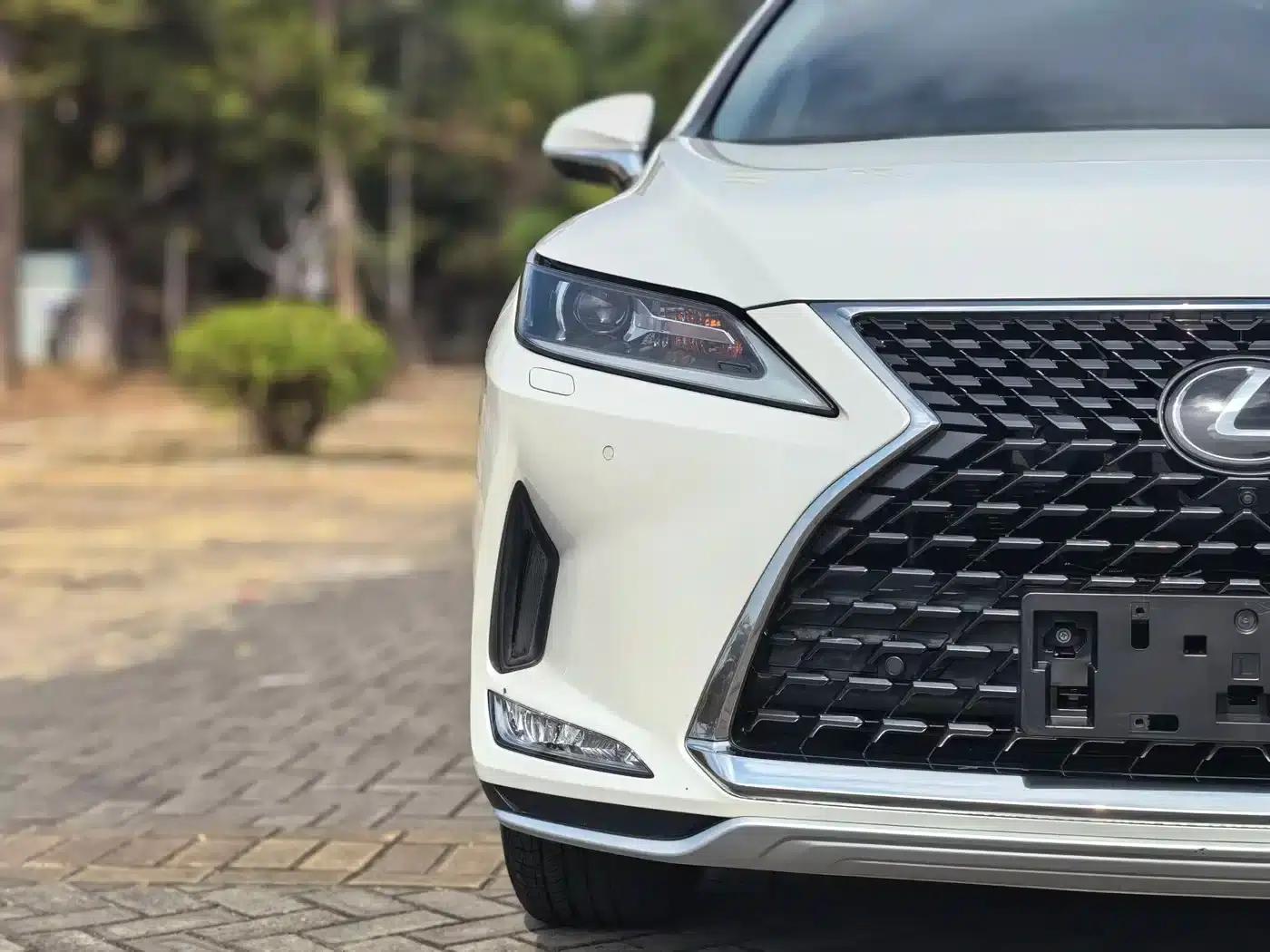 Lexus RX 2020 300 2WD Comfort Edition (China VI Emission Standard) — миниатюра 19