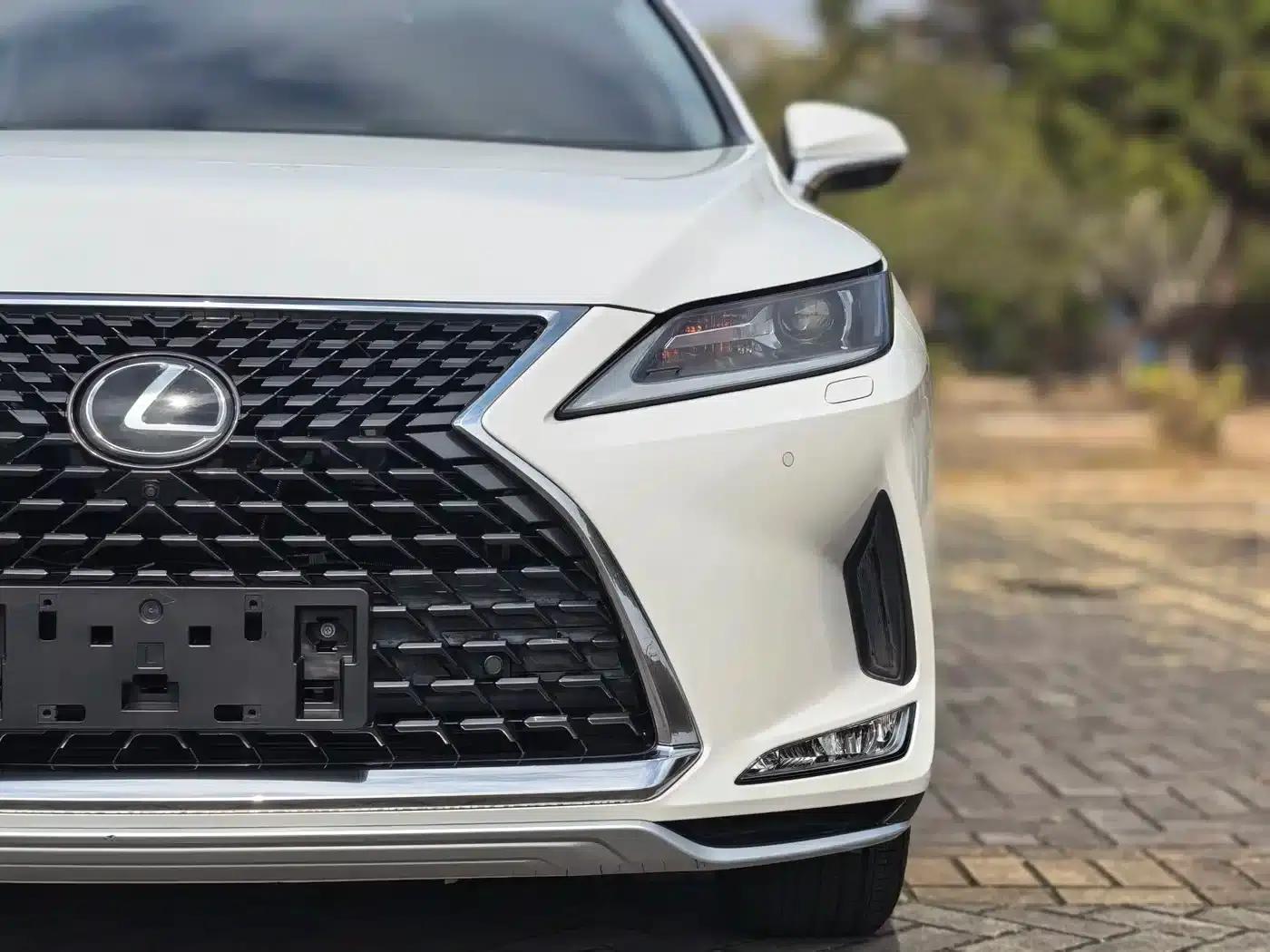 Lexus RX 2020 300 2WD Comfort Edition (China VI Emission Standard) — миниатюра 20