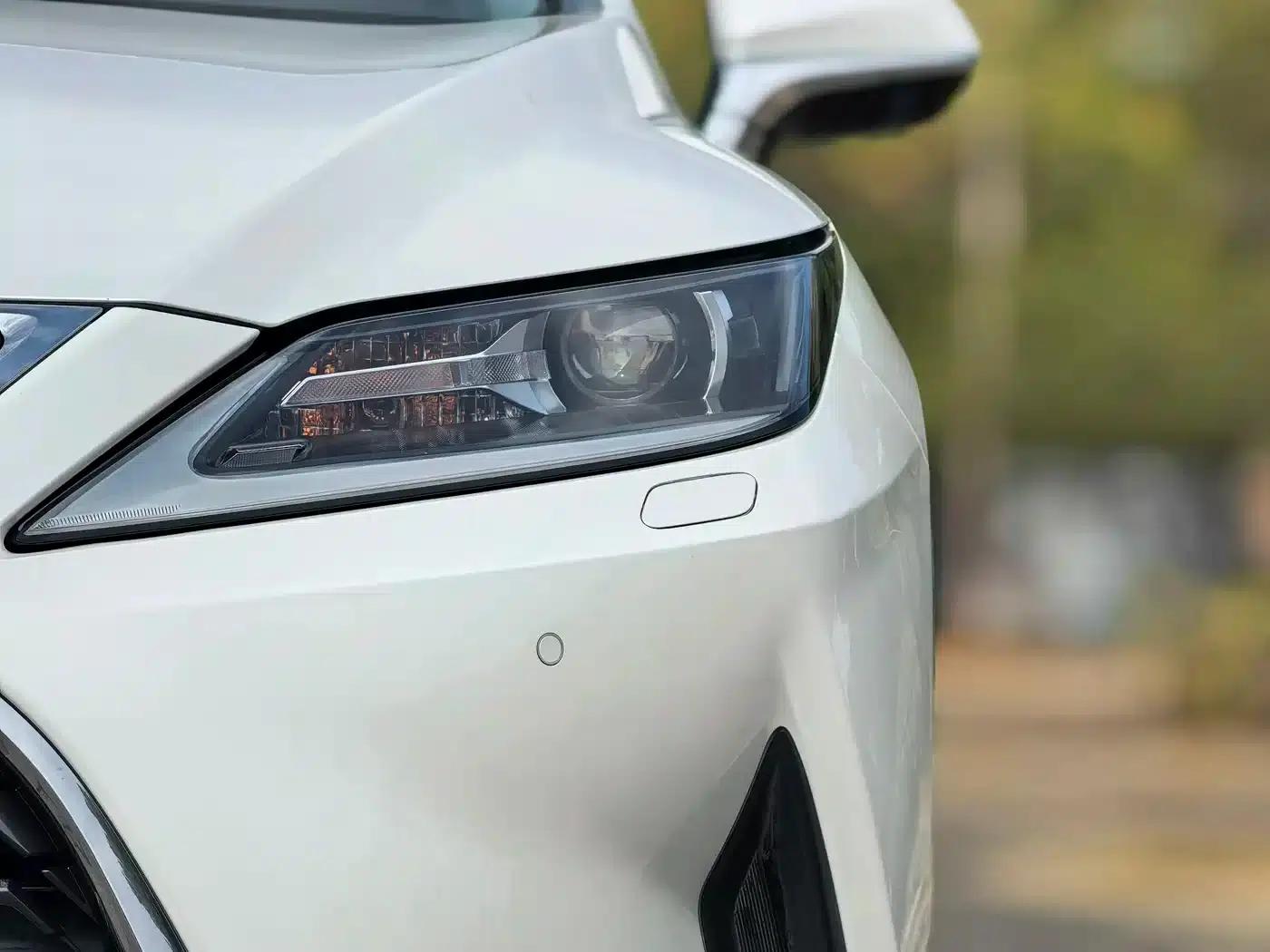 Lexus RX 2020 300 2WD Comfort Edition (China VI Emission Standard) — миниатюра 23