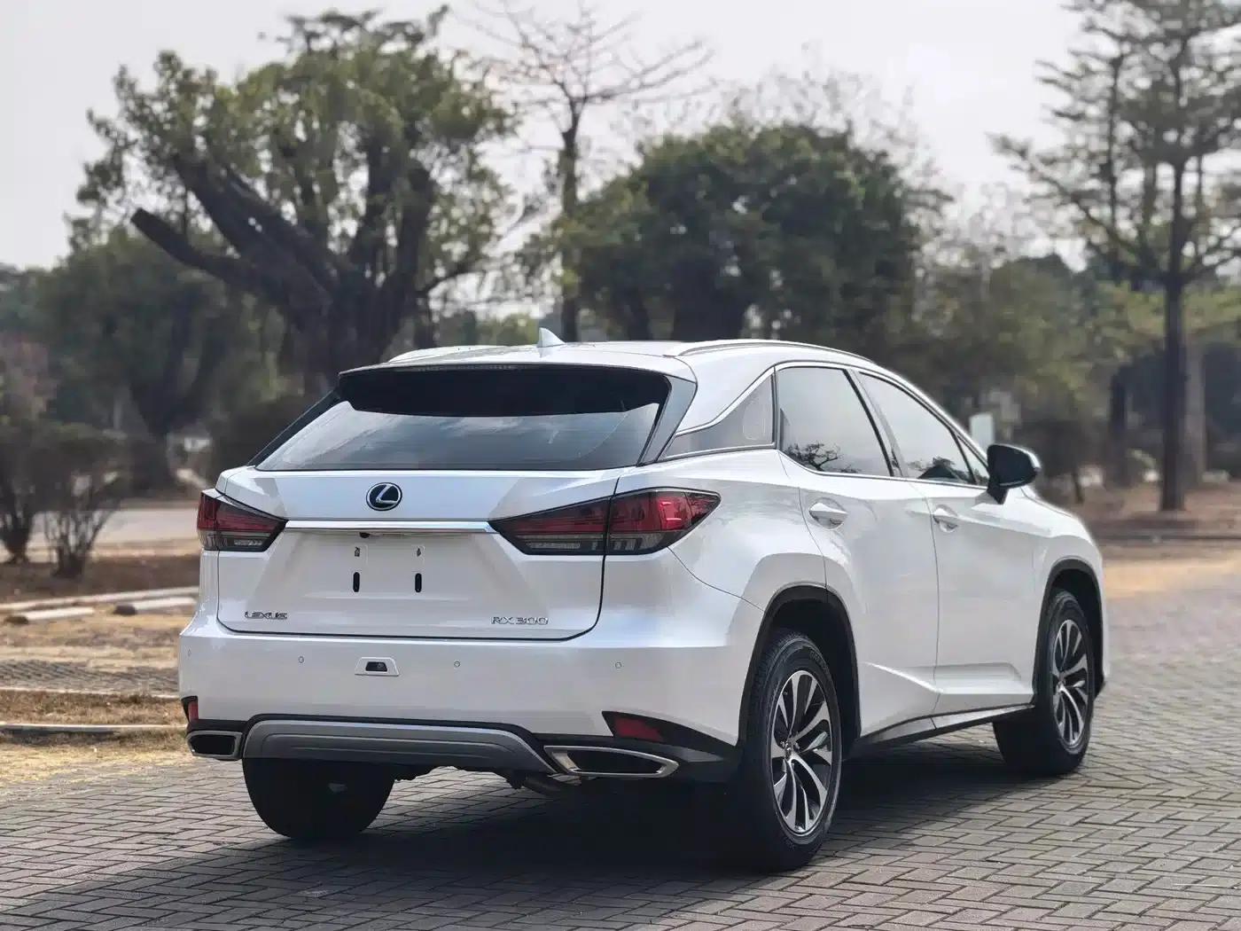 Lexus RX 2020 300 2WD Comfort Edition (China VI Emission Standard) — миниатюра 4